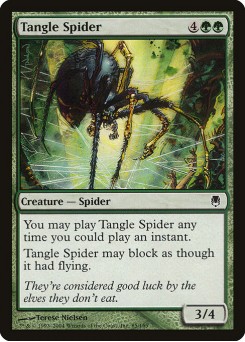 Aranha do Emaranhado