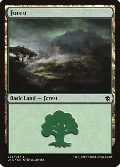 Floresta