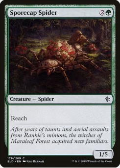Aranha Fungosa