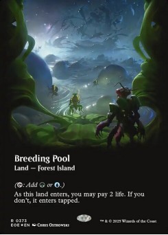 Breeding Pool