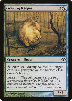 Kelpie Papa-Pasto