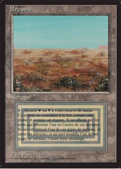 Scrubland