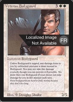 Veteran Bodyguard