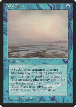 Tidal Flats