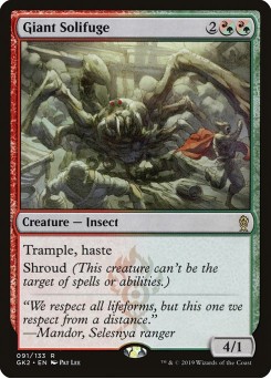 Giant Solifuge