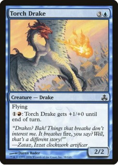 Dragonete Tocha