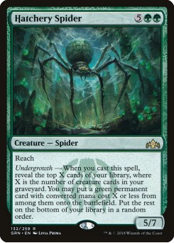 Aranha do Chocadouro