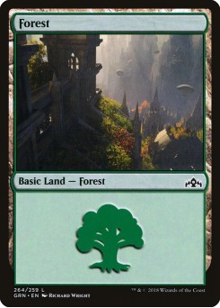 Floresta
