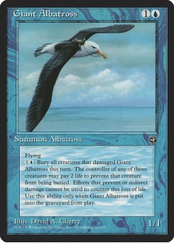 Albatroz Gigante