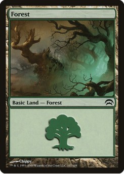 Forest