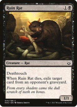 Rato da Ruína