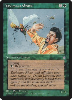 Muriçocas de Yavimaya