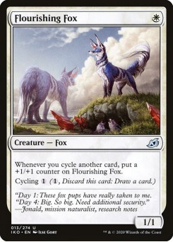 Raposa Florescente