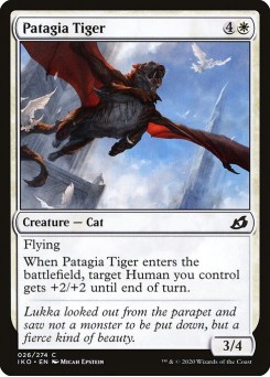 Tigre-de-patágio