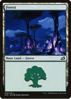Floresta