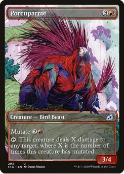 Porcuparrot