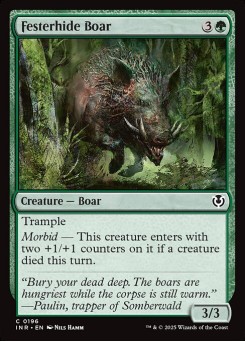 Festerhide Boar