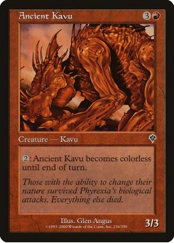 Kavu Ancião