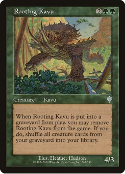 Kavu Enraizado