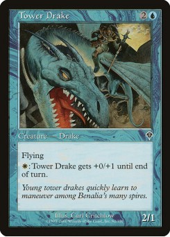 Dragonete da Torre