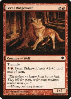 Lobo da Cordilheira Feroz