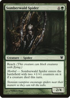 Aranha de Somberwald