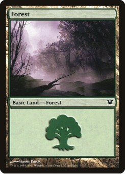 Floresta
