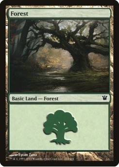 Floresta
