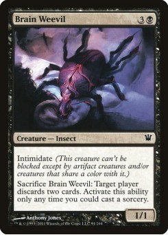 Gorgulho Cerebral