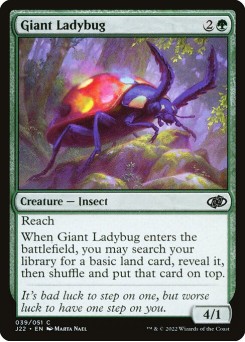 Giant Ladybug