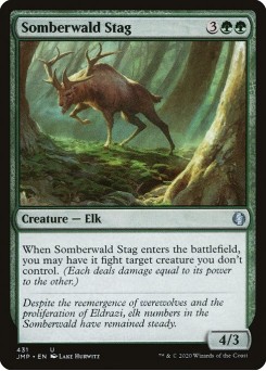 Somberwald Stag
