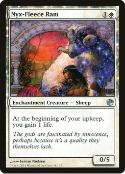 Carneiro Velocino-de-Nyx