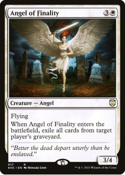 Anjo da Finalidade