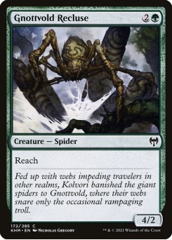 Reclusa de Gnottvold