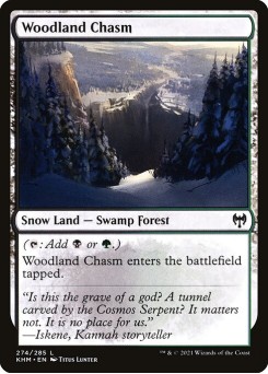 Abismo da Floresta