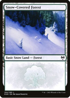 Floresta Nevada