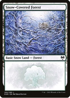Floresta Nevada
