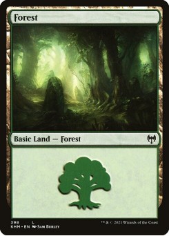 Floresta