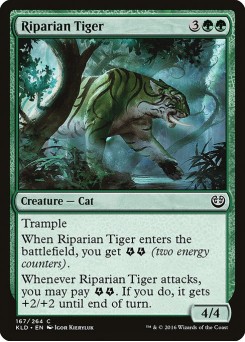 Tigre Ripariano