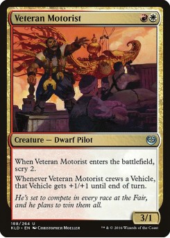Motorista Veterano