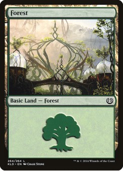 Floresta