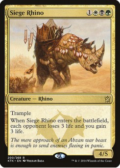 Rinoceronte de Cerco