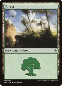 Floresta