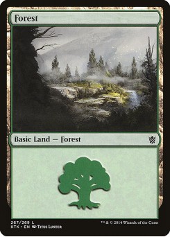 Floresta