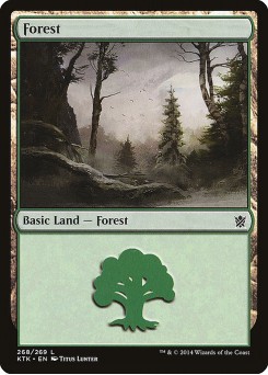 Floresta