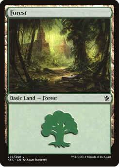 Floresta
