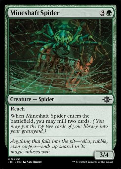 Aranha do Poço da Mina