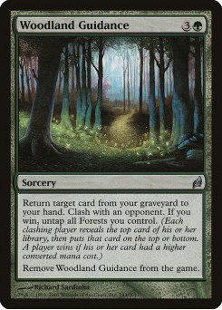Guia da Floresta