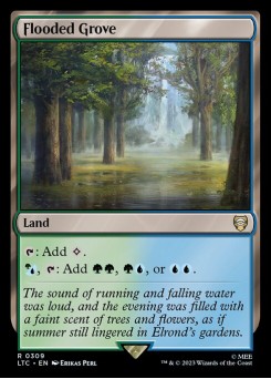Bosque Alagado