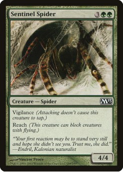 Aranha Sentinela
